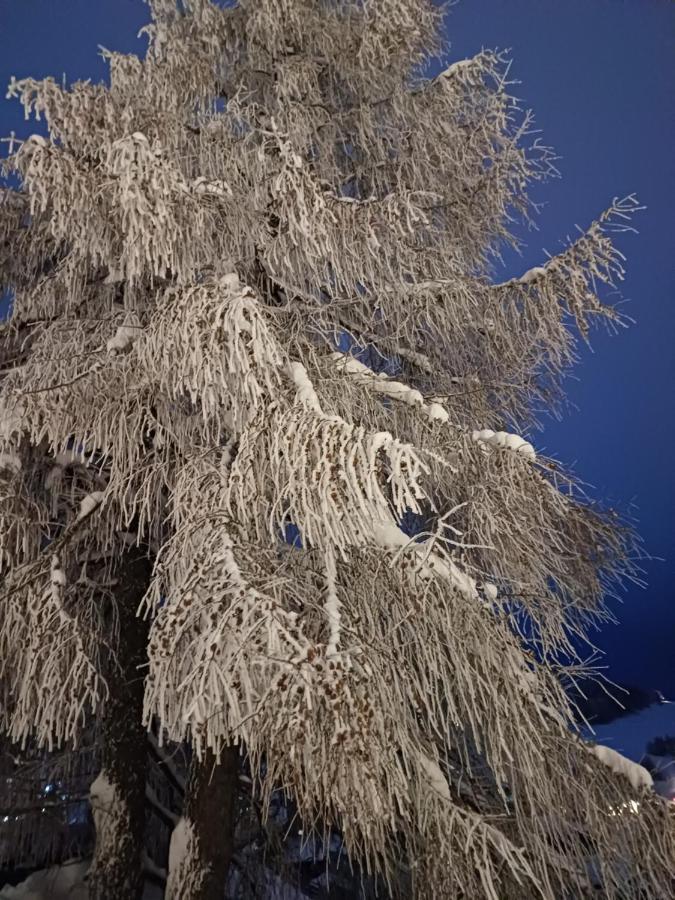 Apartmán Horec Donovaly Esterno foto